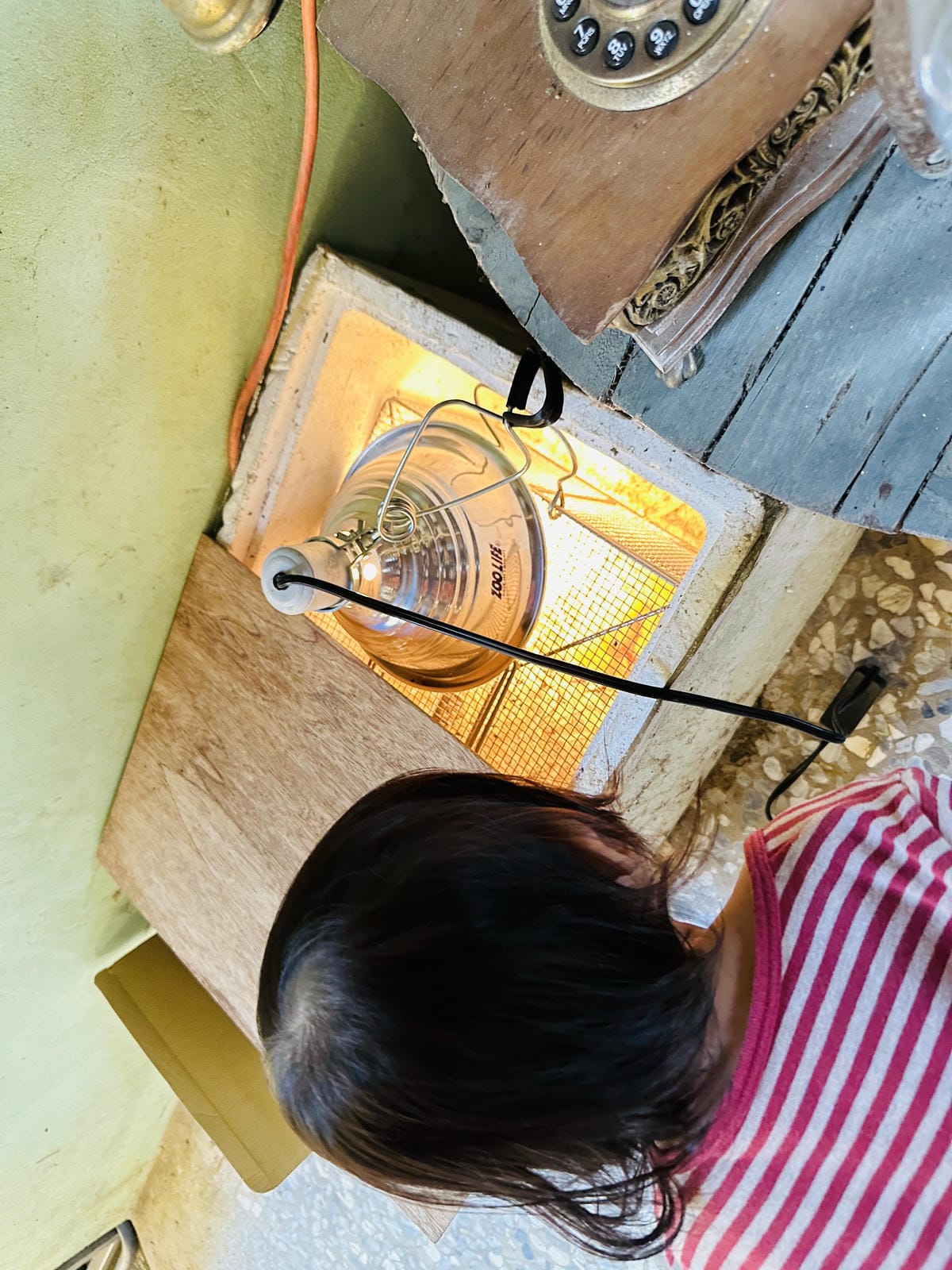 【築夢森居】嘉義親子旅行必訪!野奢豪華露營車開箱,超多元體驗