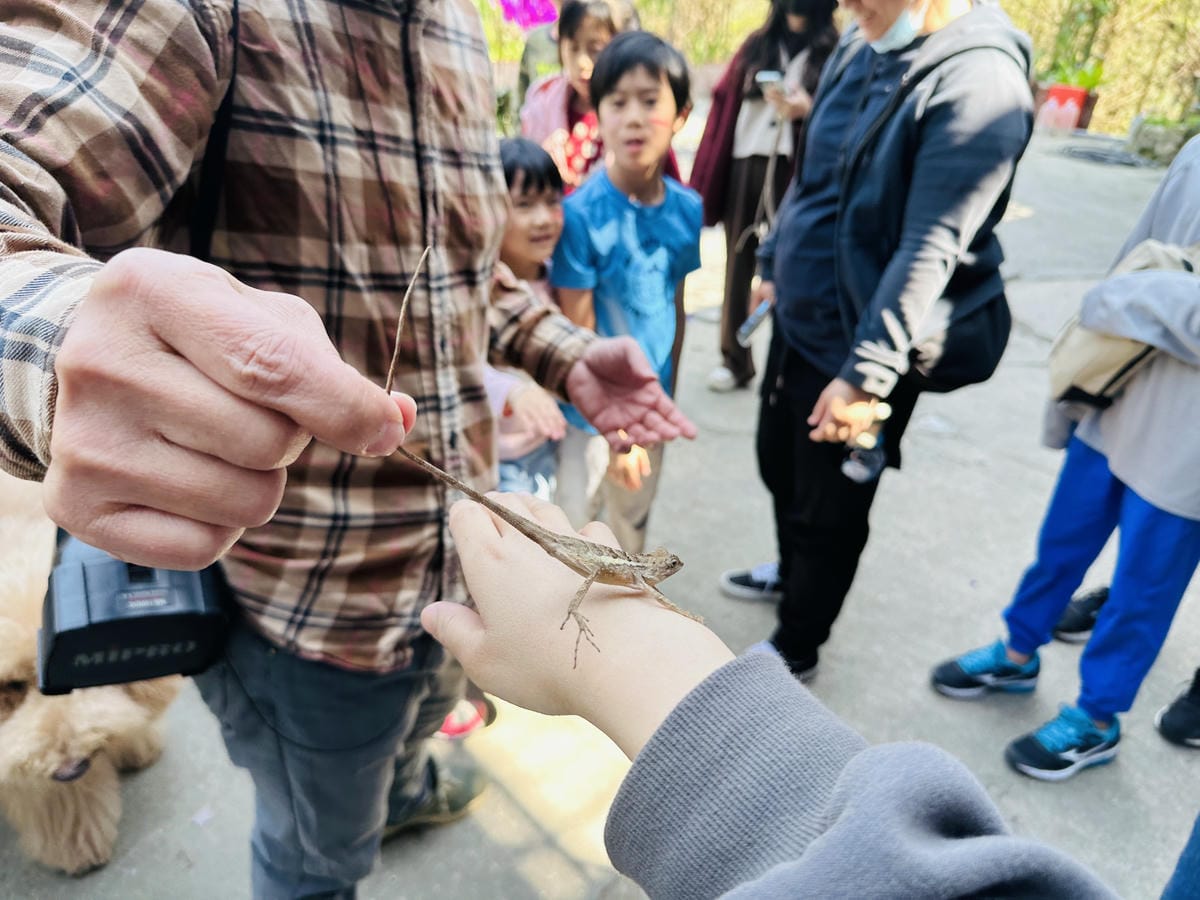 【築夢森居】嘉義親子旅行必訪!野奢豪華露營車開箱,超多元體驗