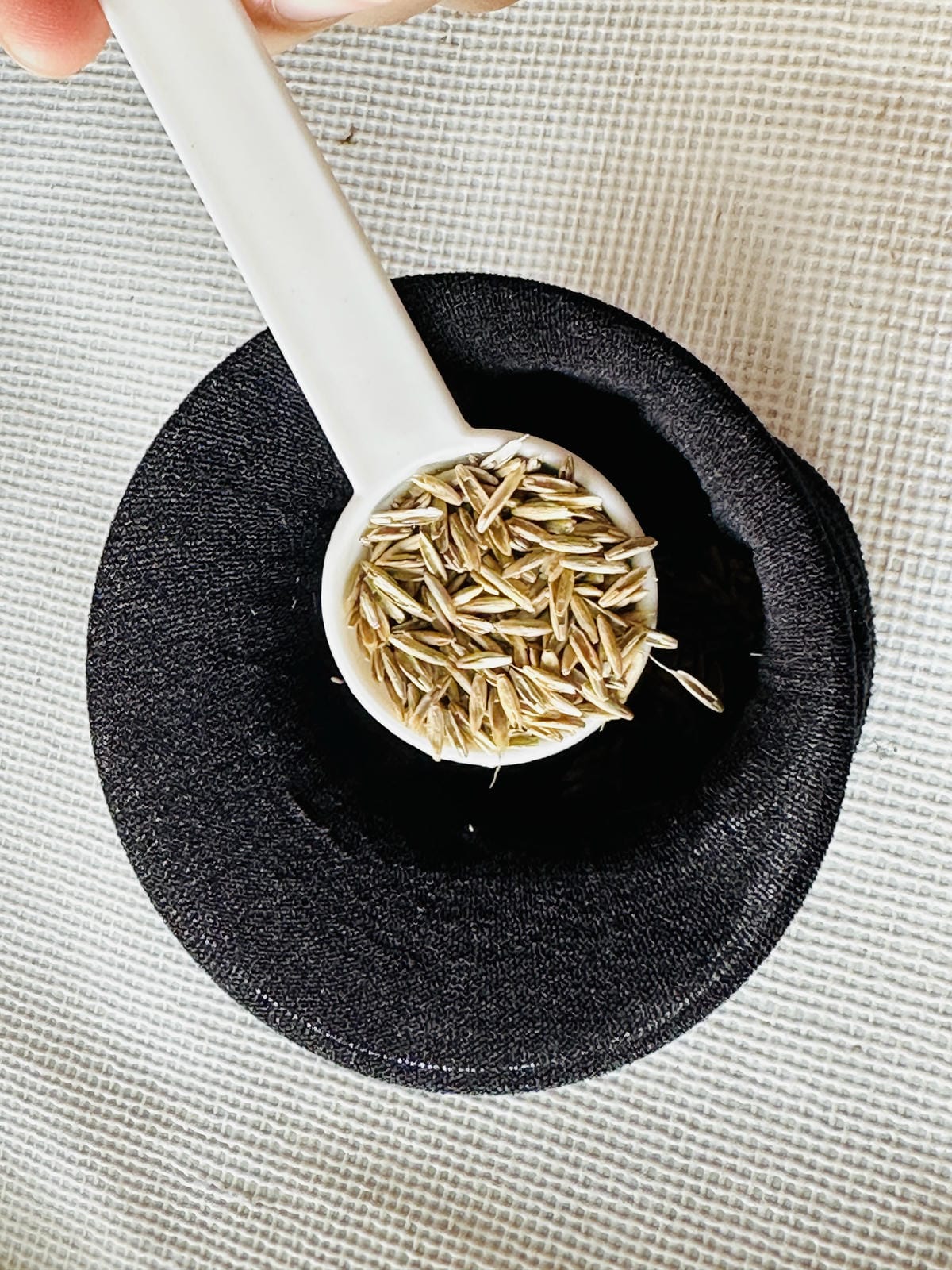 【築夢森居】嘉義親子旅行必訪!野奢豪華露營車開箱,超多元體驗