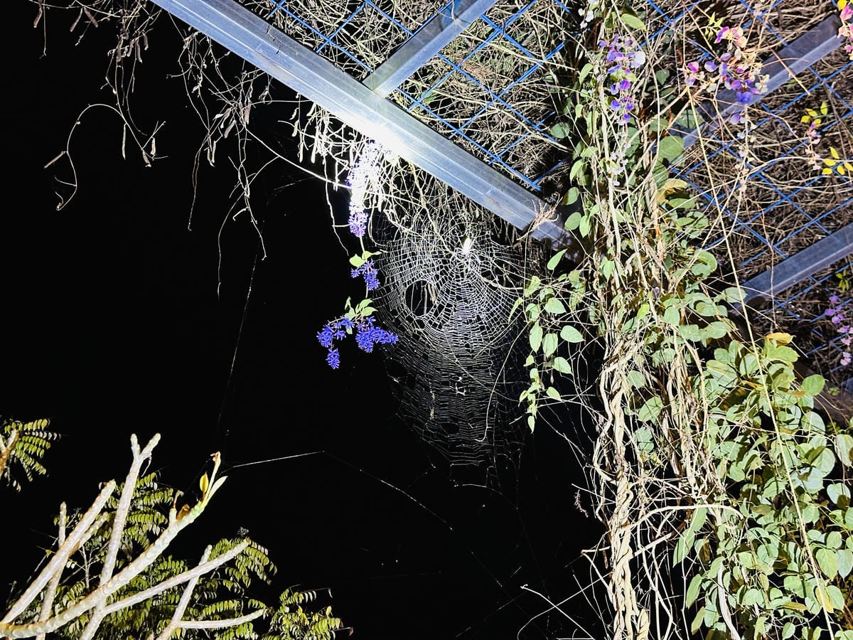 【築夢森居】嘉義親子旅行必訪!野奢豪華露營車開箱,超多元體驗