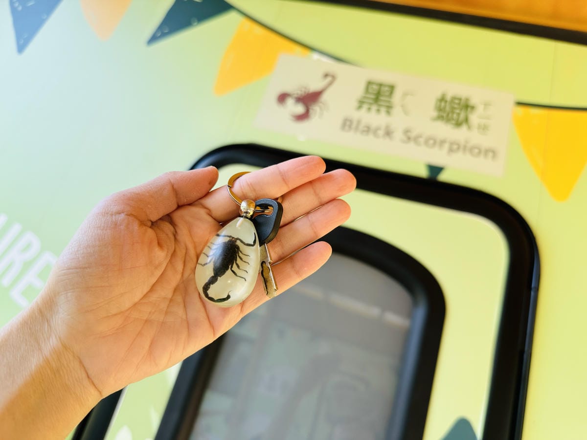 【築夢森居】嘉義親子旅行必訪!野奢豪華露營車開箱,超多元體驗