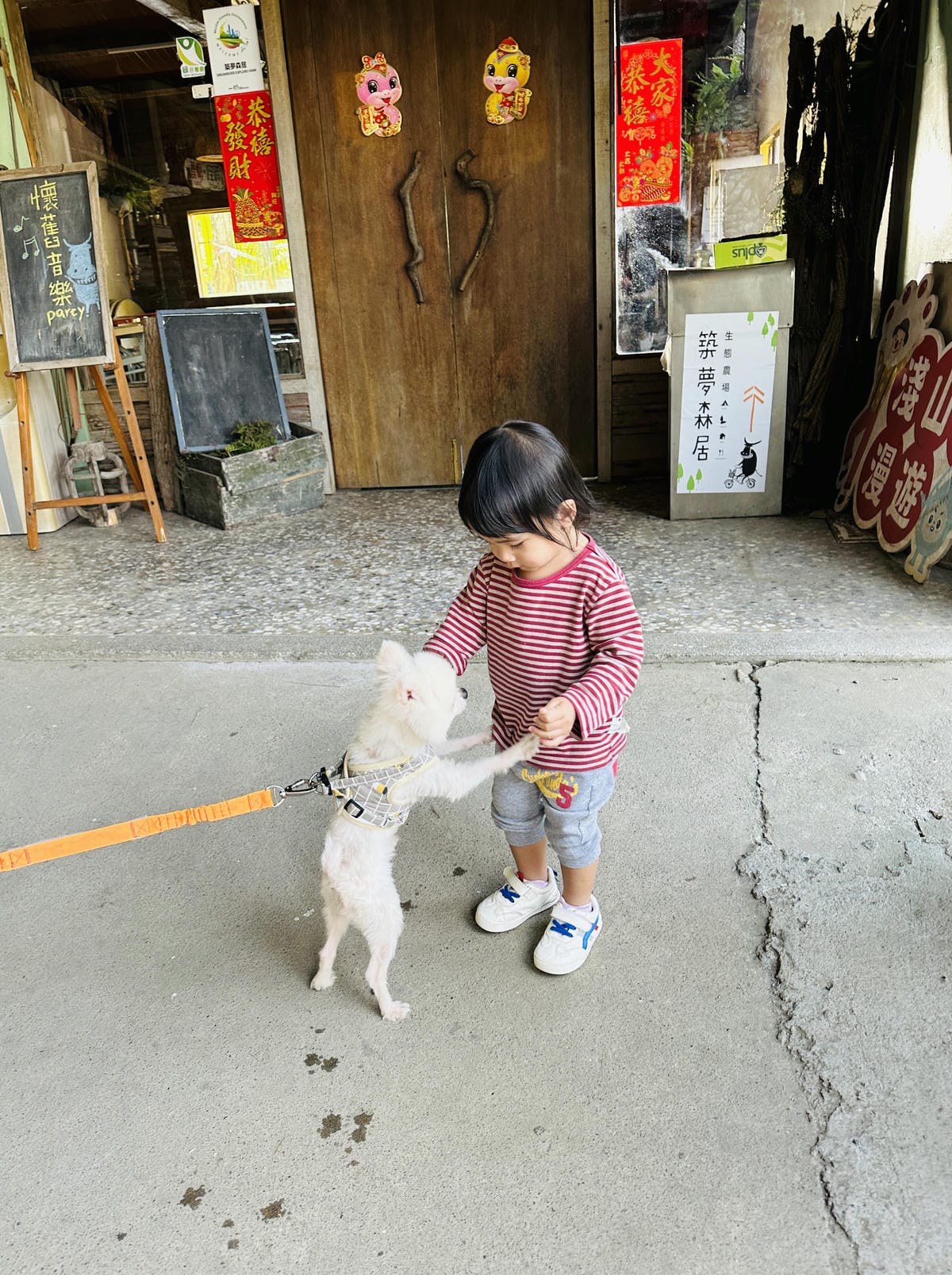 【築夢森居】嘉義親子旅行必訪!野奢豪華露營車開箱,超多元體驗