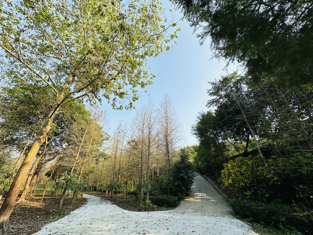 【築夢森居】嘉義親子旅行必訪!野奢豪華露營車開箱,超多元體驗