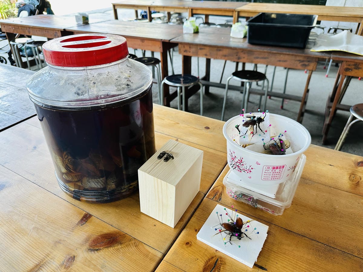 【築夢森居】嘉義親子旅行必訪!野奢豪華露營車開箱,超多元體驗