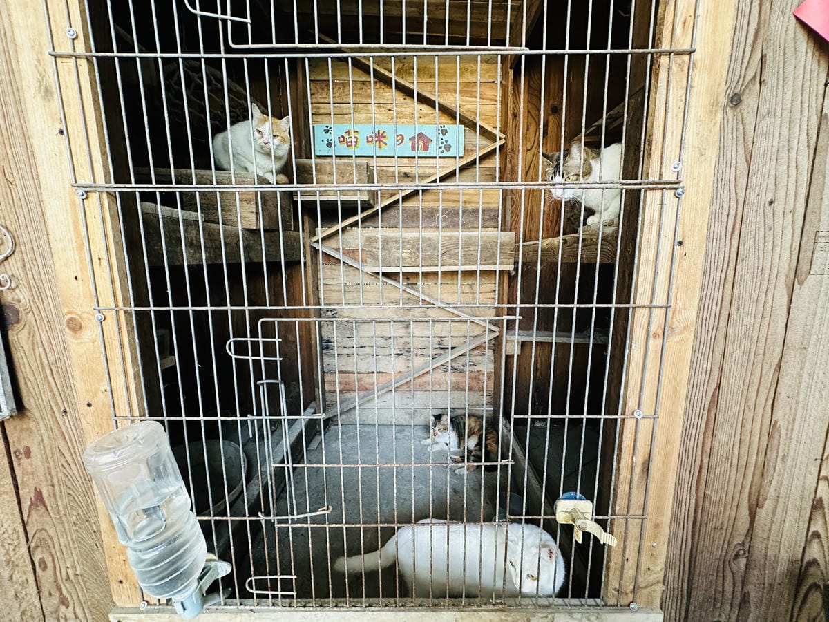 【築夢森居】嘉義親子旅行必訪!野奢豪華露營車開箱,超多元體驗