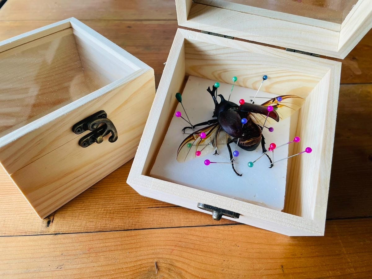 【築夢森居】嘉義親子旅行必訪!野奢豪華露營車開箱,超多元體驗