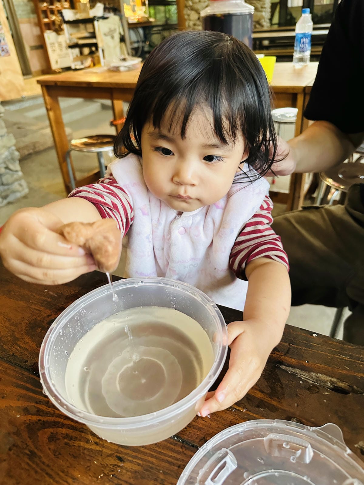 【築夢森居】嘉義親子旅行必訪!野奢豪華露營車開箱,超多元體驗