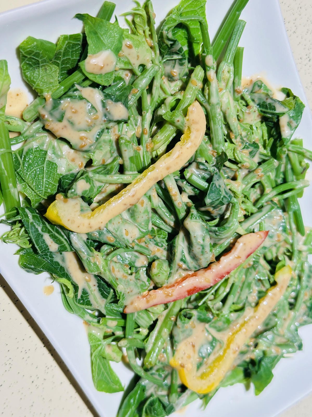 【築夢森居】嘉義親子旅行必訪!野奢豪華露營車開箱,超多元體驗