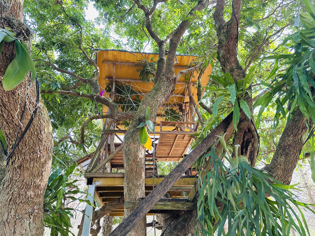 【築夢森居】嘉義親子旅行必訪!野奢豪華露營車開箱,超多元體驗