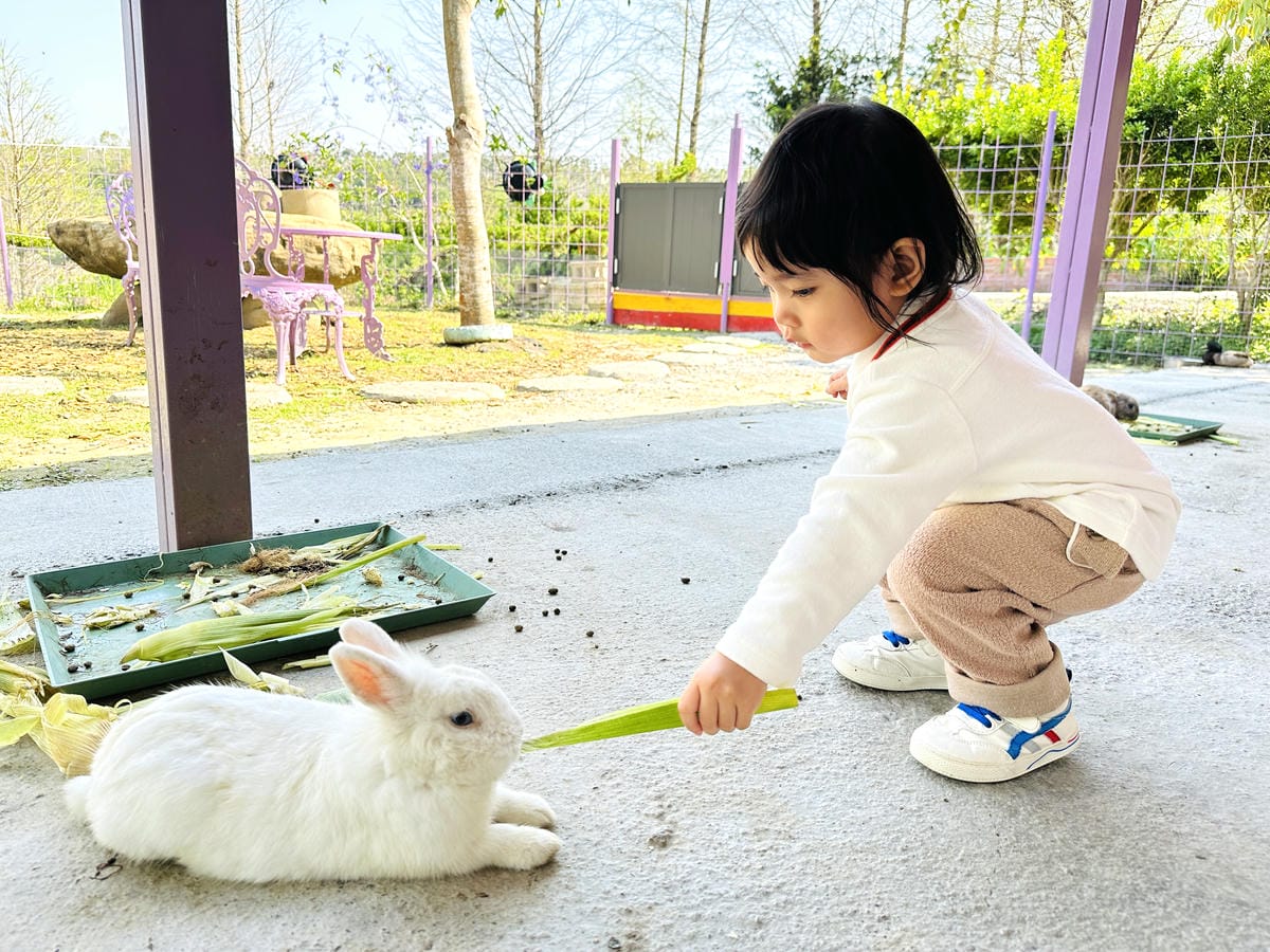【築夢森居】嘉義親子旅行必訪!野奢豪華露營車開箱,超多元體驗
