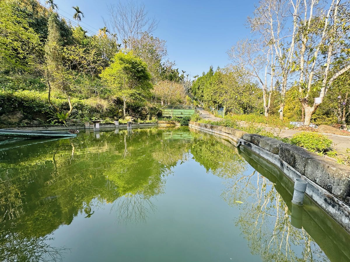 【築夢森居】嘉義親子旅行必訪!野奢豪華露營車開箱,超多元體驗