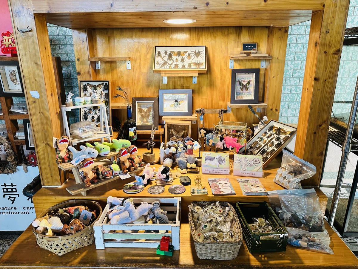 【築夢森居】嘉義親子旅行必訪!野奢豪華露營車開箱,超多元體驗