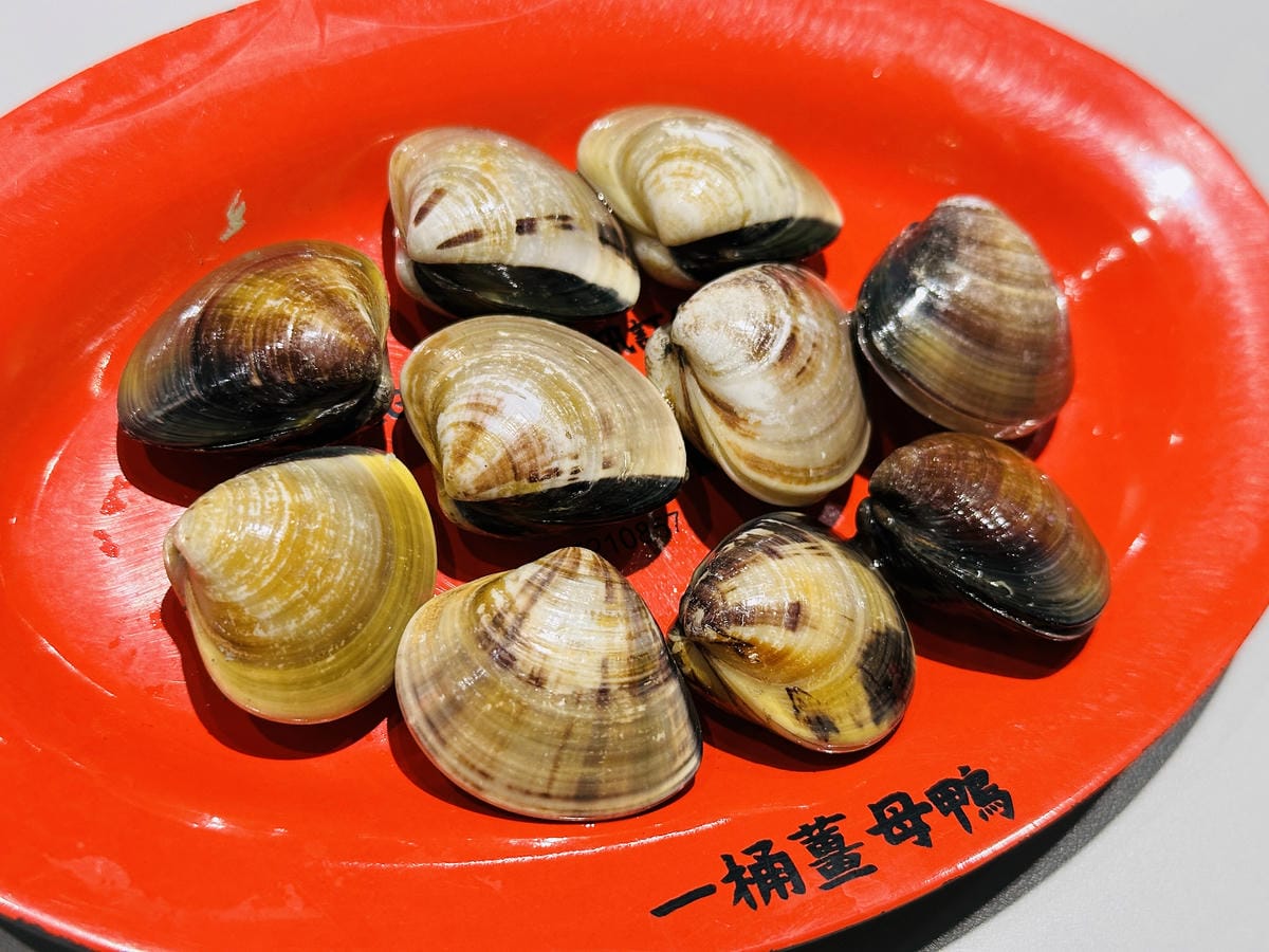 【一桶薑母鴨,一桶活蝦】春夏限定新菜單登場!蔬果龍骨鍋、活蝦