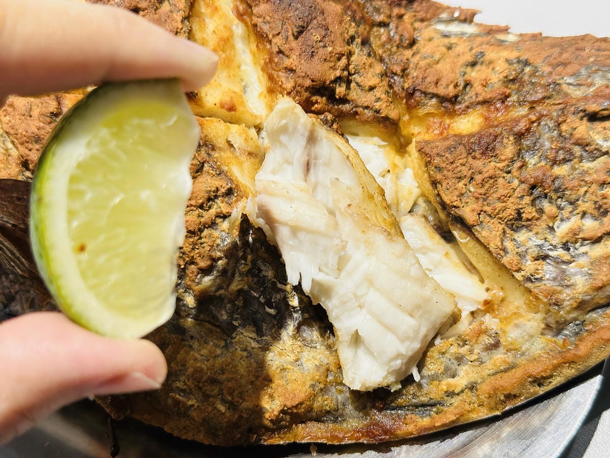 【一桶薑母鴨,一桶活蝦】春夏限定新菜單登場!蔬果龍骨鍋、活蝦