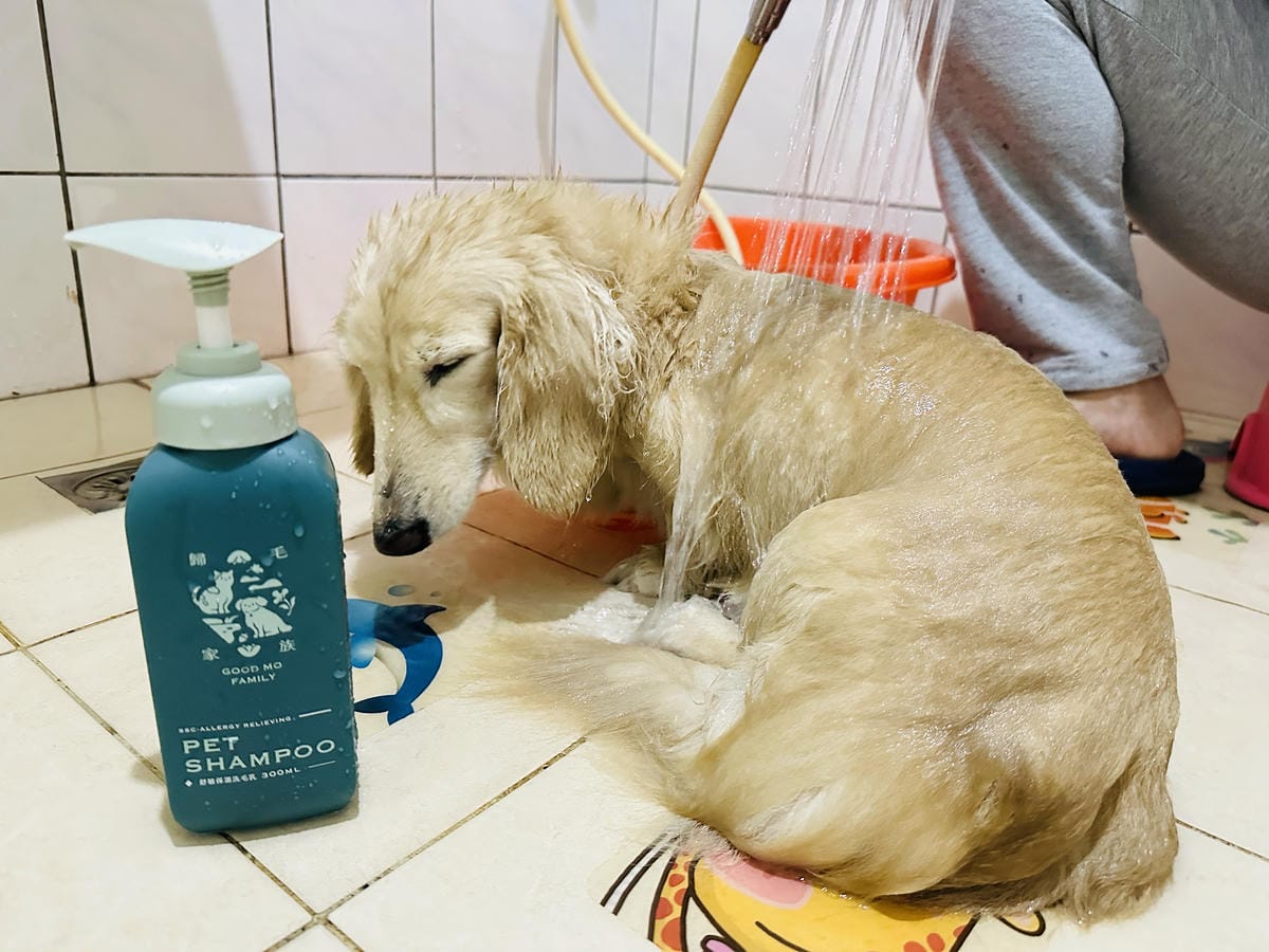 20250423【歸毛家族】寵物肌膚救星『舒敏保濕洗毛乳』+