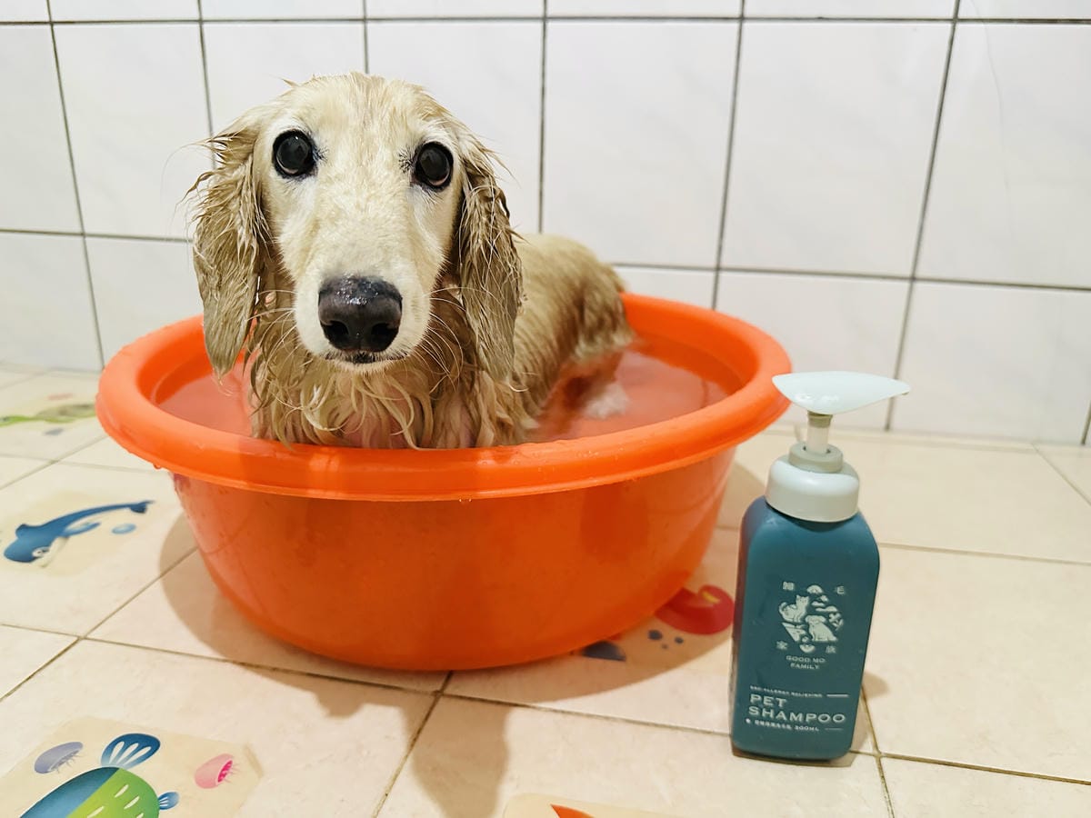 20250423【歸毛家族】寵物肌膚救星『舒敏保濕洗毛乳』+