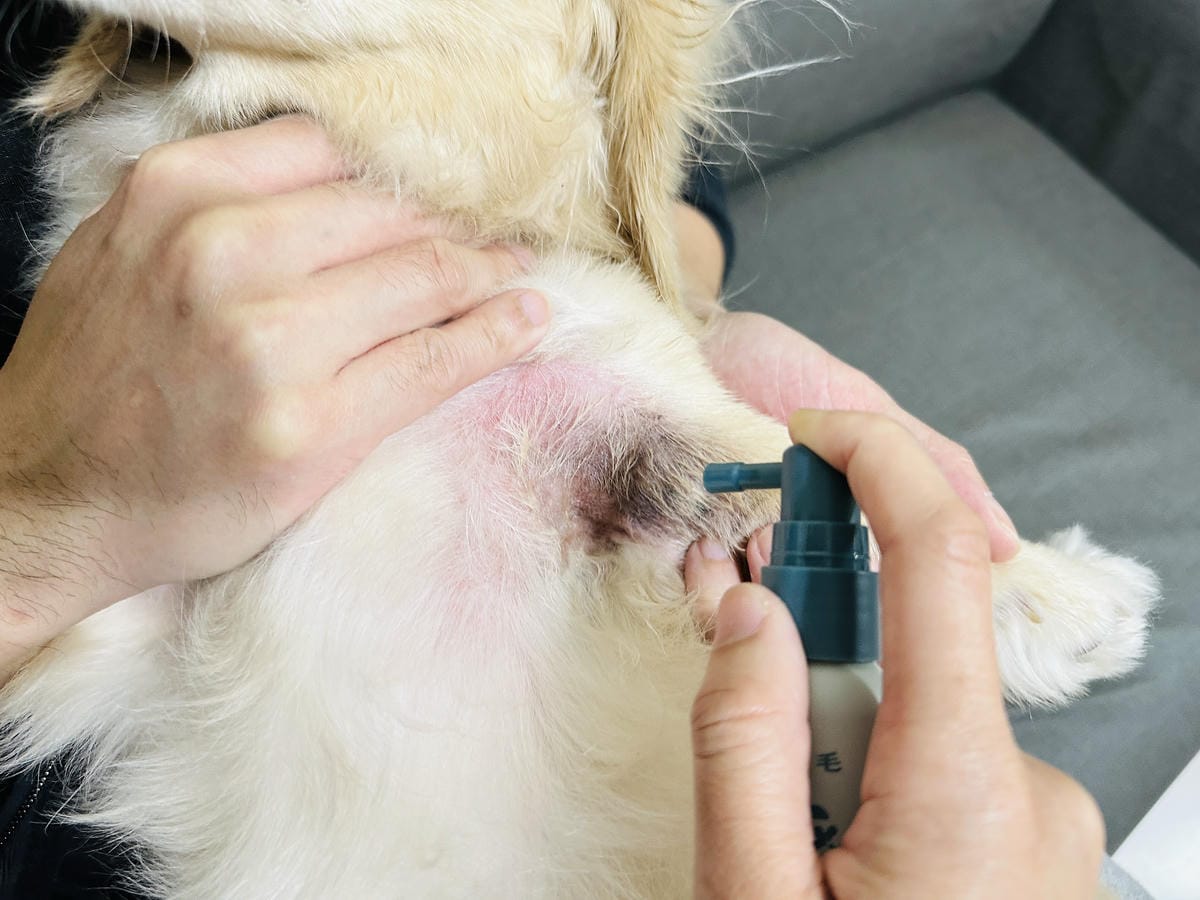 20250423【歸毛家族】寵物肌膚救星『舒敏保濕洗毛乳』+