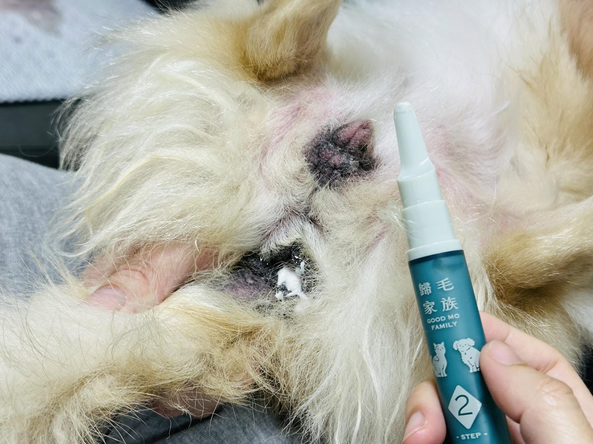 20250423【歸毛家族】寵物肌膚救星『舒敏保濕洗毛乳』+