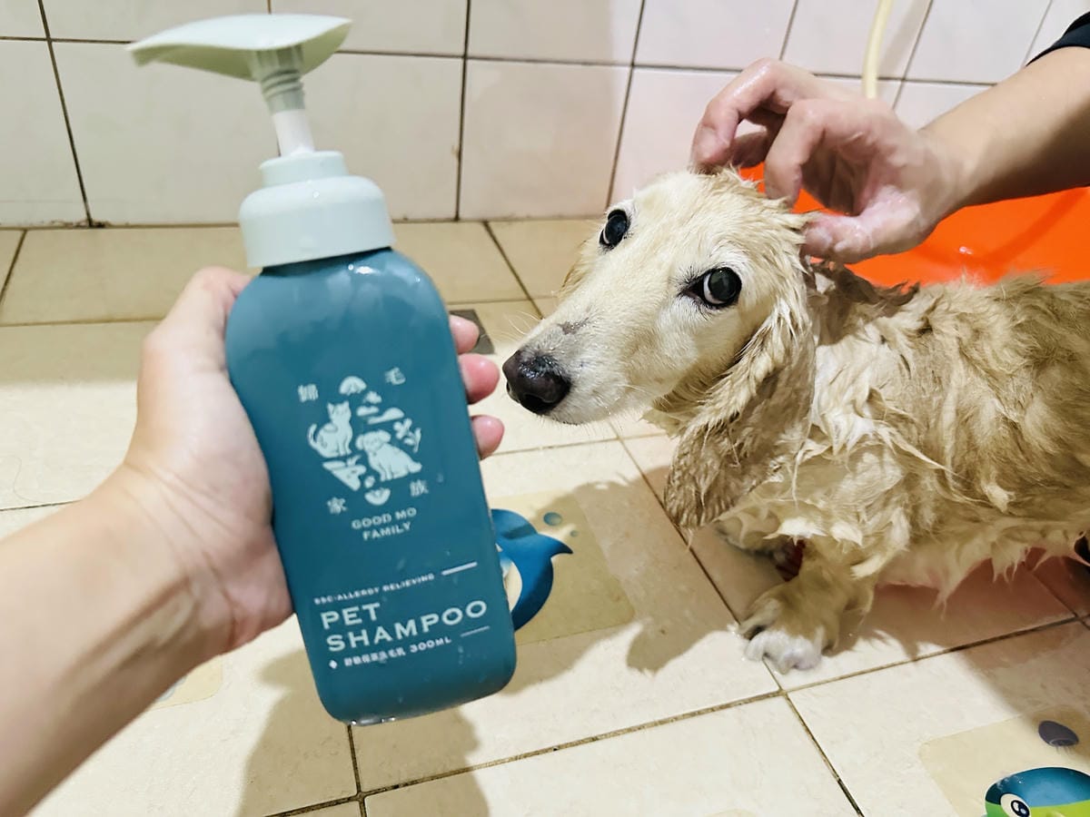20250423【歸毛家族】寵物肌膚救星『舒敏保濕洗毛乳』+