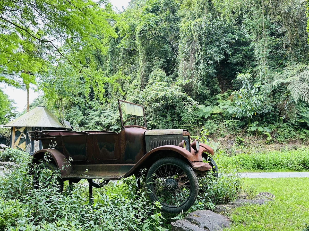 【鳳梨屋水上莊園】宜蘭員山超人氣親子景點!一泊三食住進落羽松