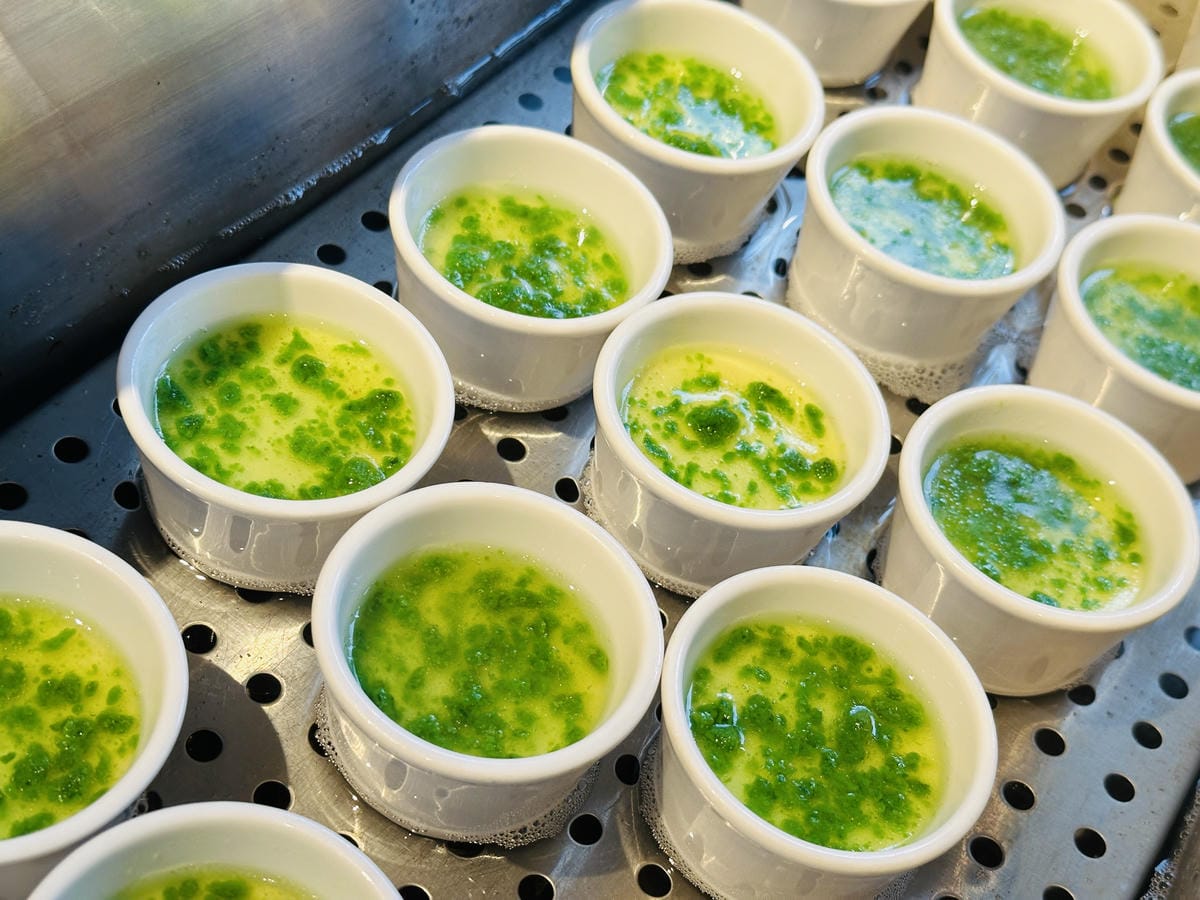 【鳳梨屋水上莊園】宜蘭員山超人氣親子景點!一泊三食住進落羽松