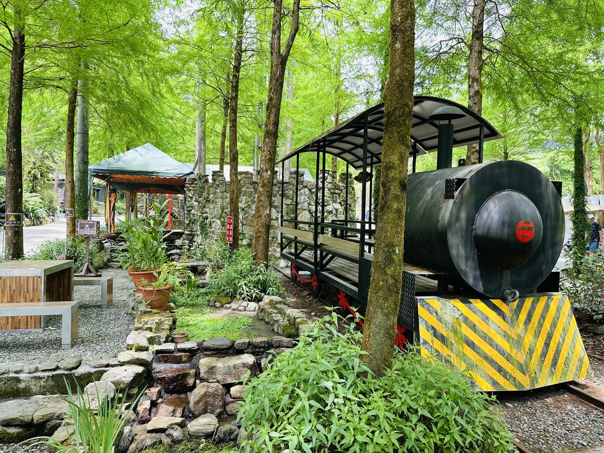 【鳳梨屋水上莊園】宜蘭員山超人氣親子景點!一泊三食住進落羽松