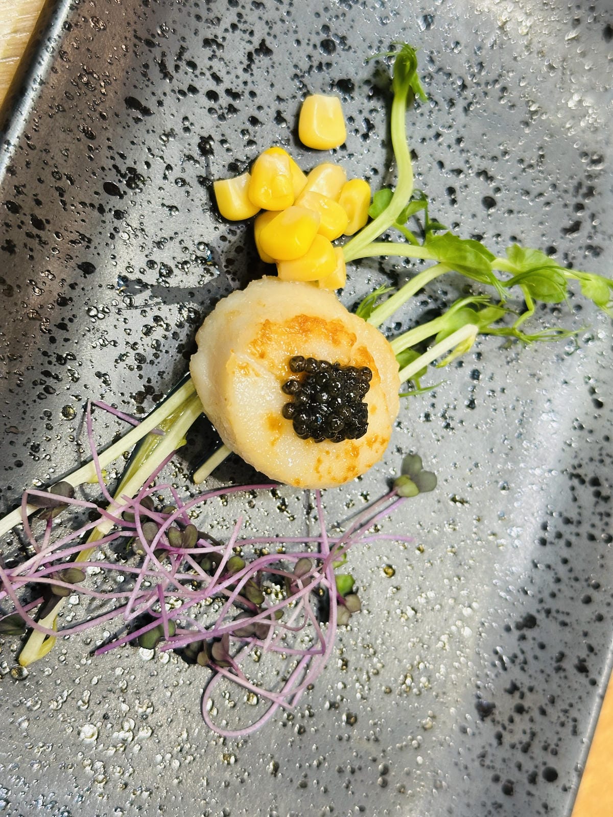 【鳳梨屋水上莊園】宜蘭員山超人氣親子景點!一泊三食住進落羽松