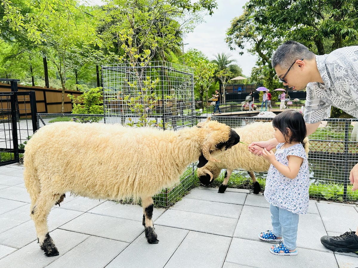 【鳳梨屋水上莊園】宜蘭員山超人氣親子景點!一泊三食住進落羽松