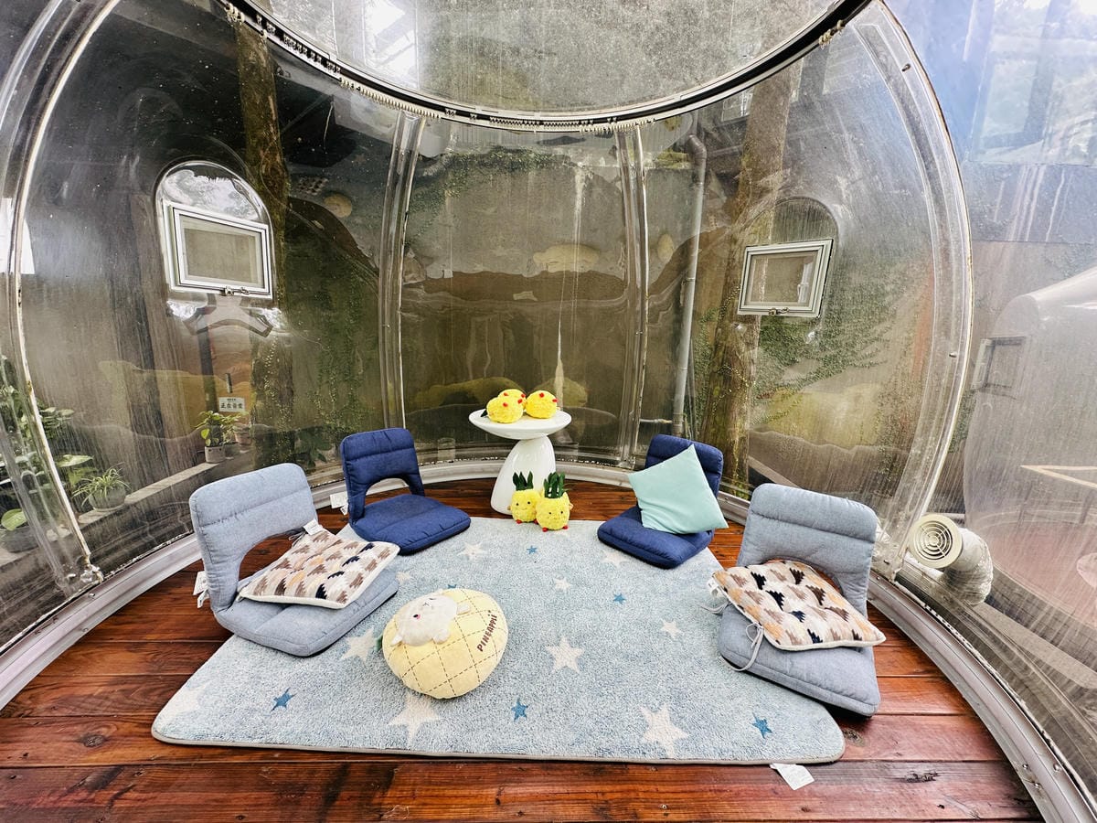 【鳳梨屋水上莊園】宜蘭員山超人氣親子景點!一泊三食住進落羽松