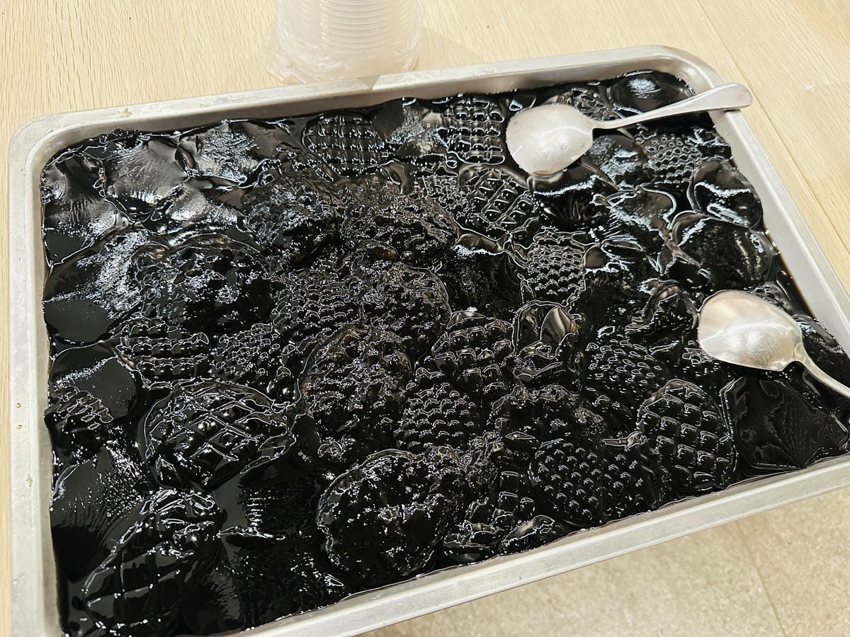 【鳳梨屋水上莊園】宜蘭員山超人氣親子景點!一泊三食住進落羽松