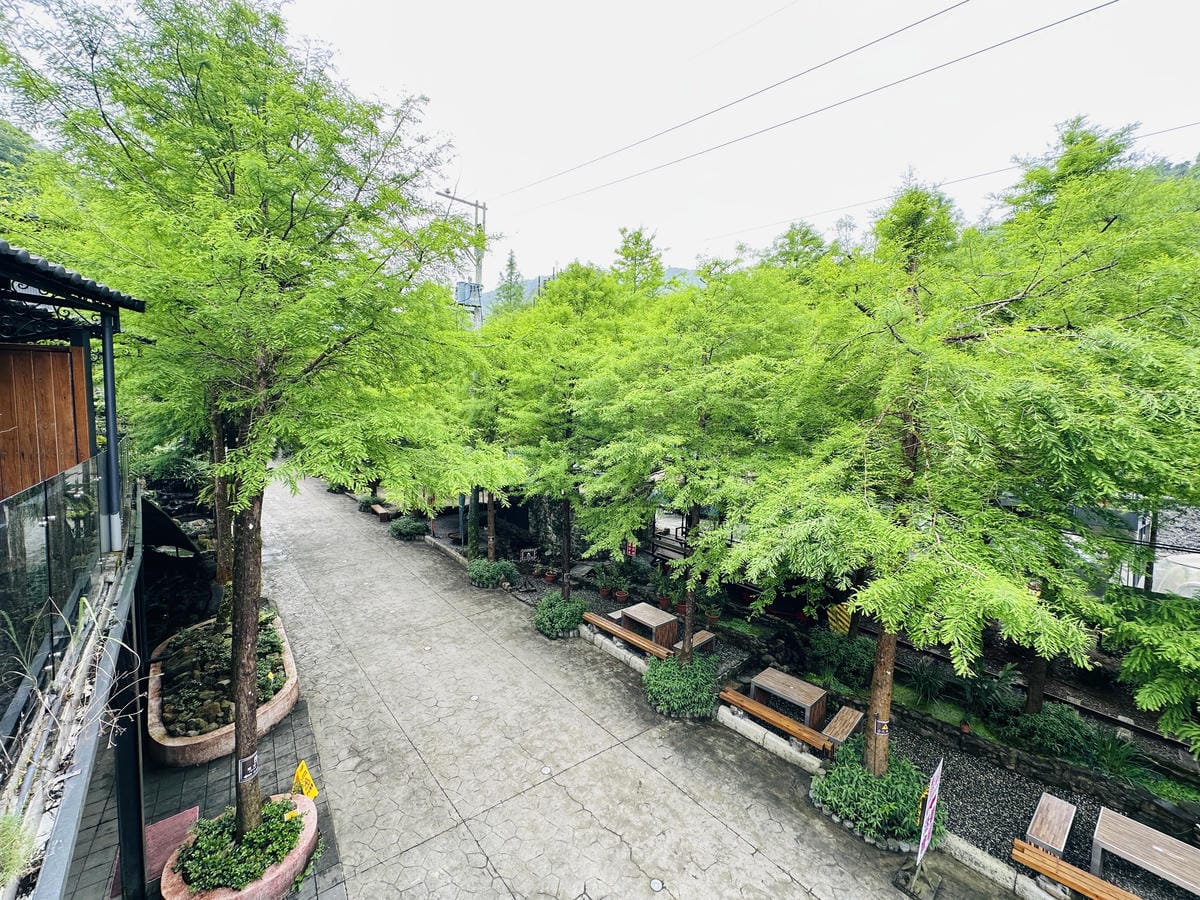 【鳳梨屋水上莊園】宜蘭員山超人氣親子景點!一泊三食住進落羽松