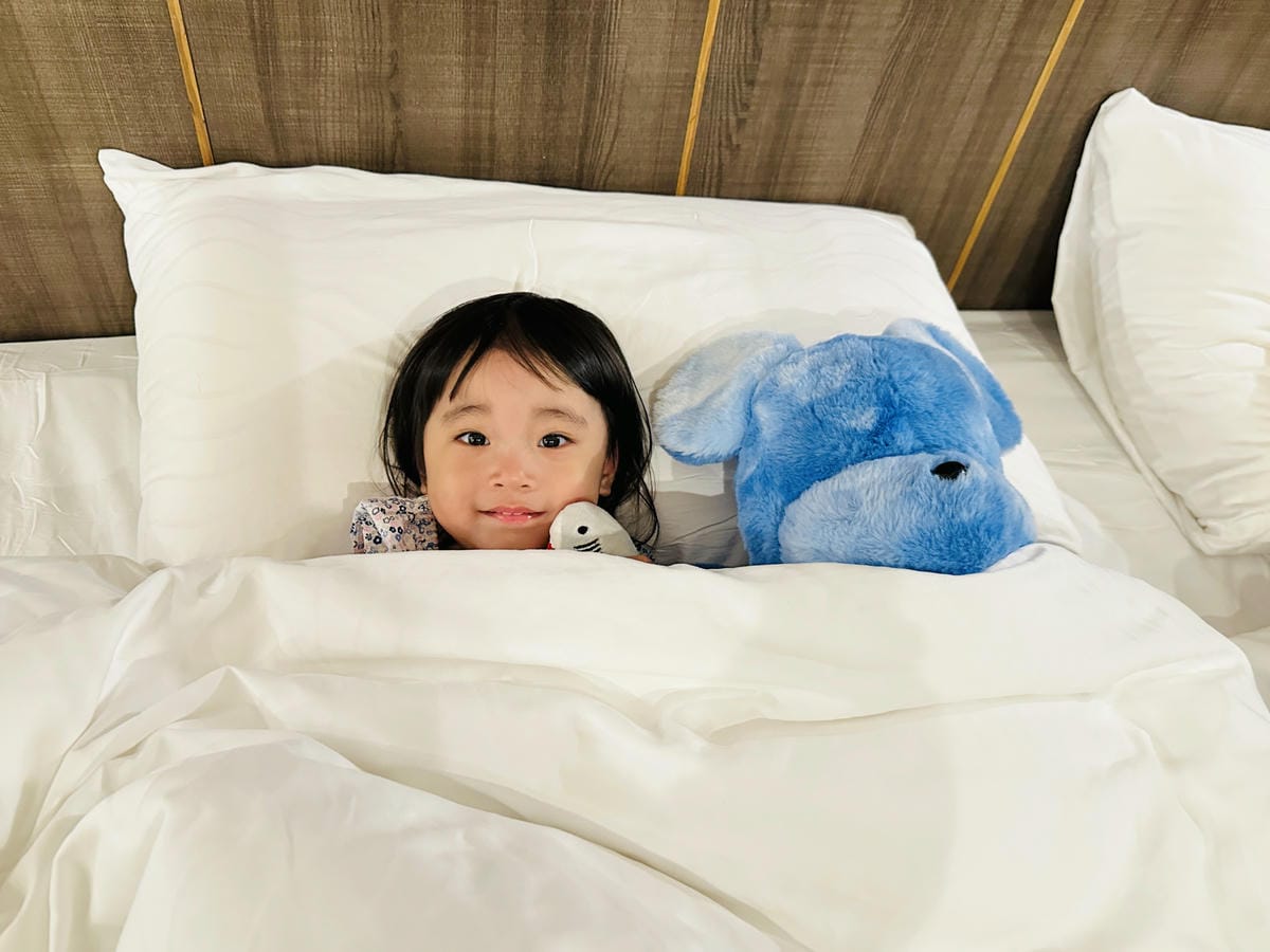 【鳳梨屋水上莊園】宜蘭員山超人氣親子景點!一泊三食住進落羽松