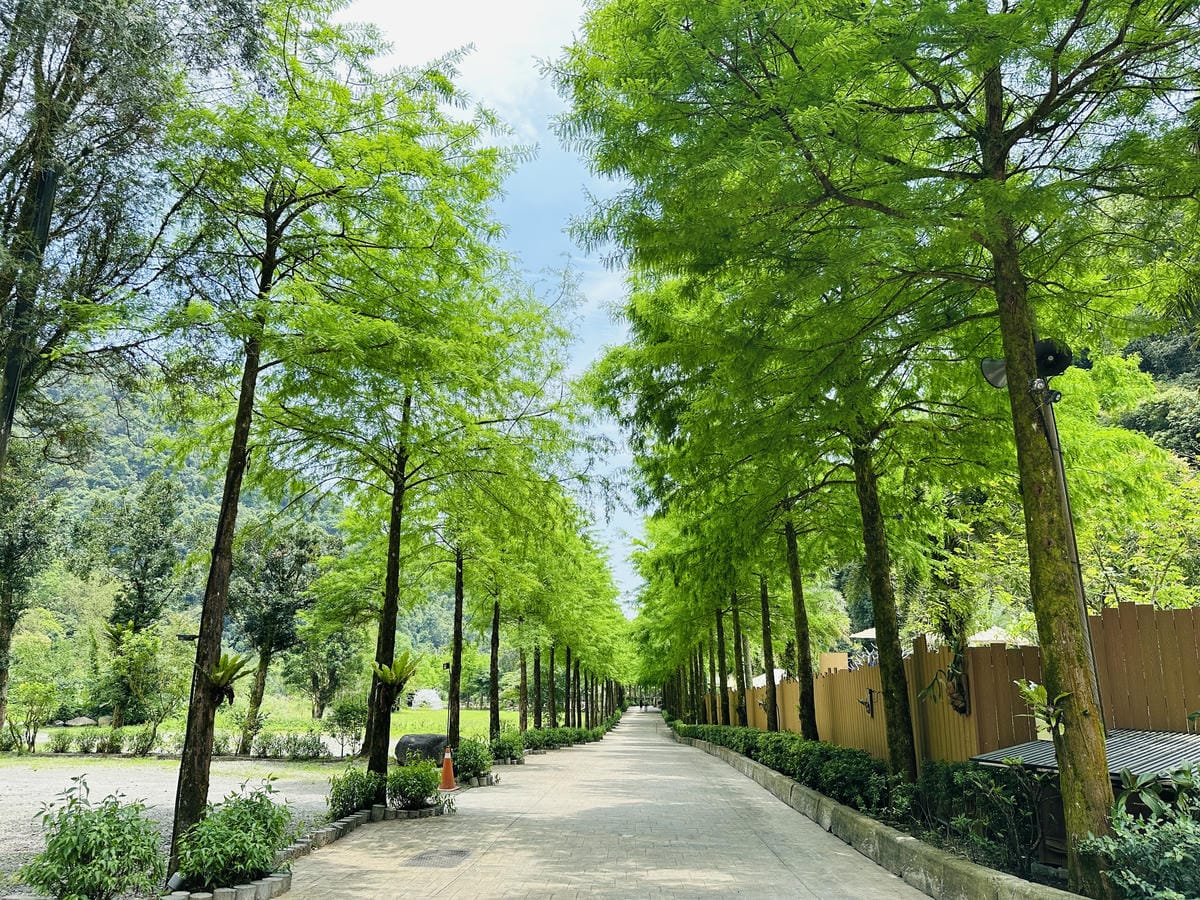 【鳳梨屋水上莊園】宜蘭員山超人氣親子景點!一泊三食住進落羽松
