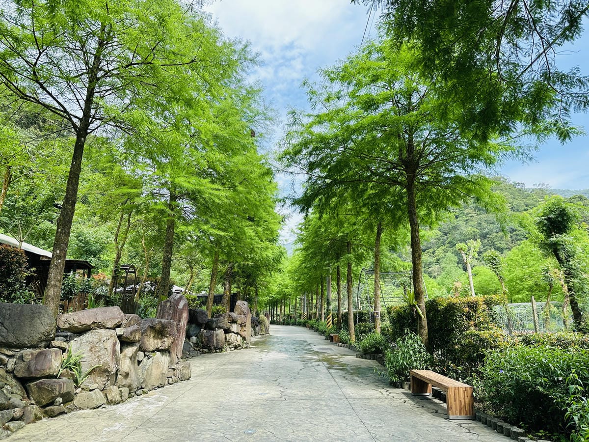 【鳳梨屋水上莊園】宜蘭員山超人氣親子景點!一泊三食住進落羽松
