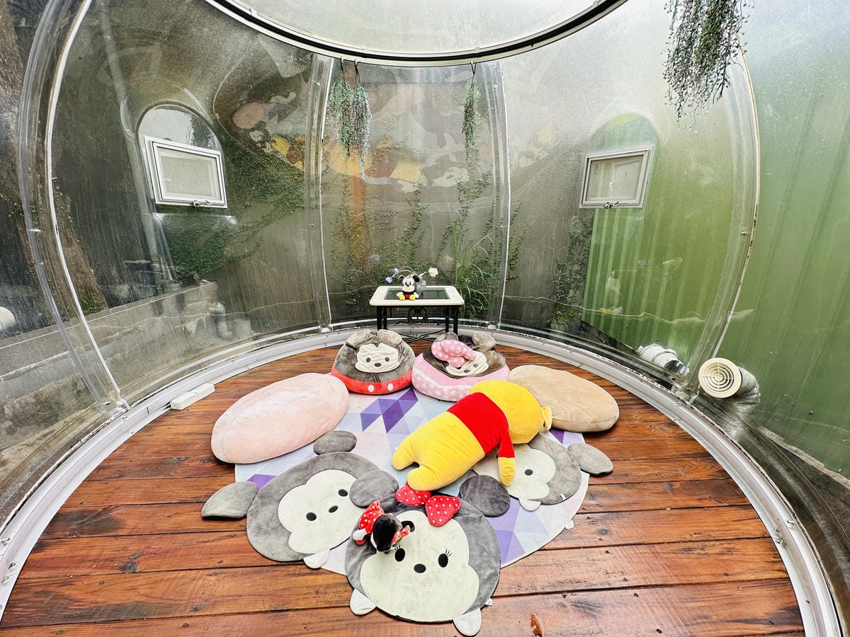 【鳳梨屋水上莊園】宜蘭員山超人氣親子景點!一泊三食住進落羽松