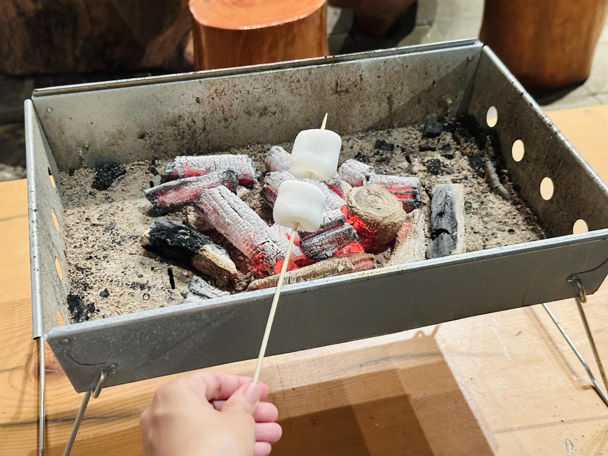【鳳梨屋水上莊園】宜蘭員山超人氣親子景點!一泊三食住進落羽松