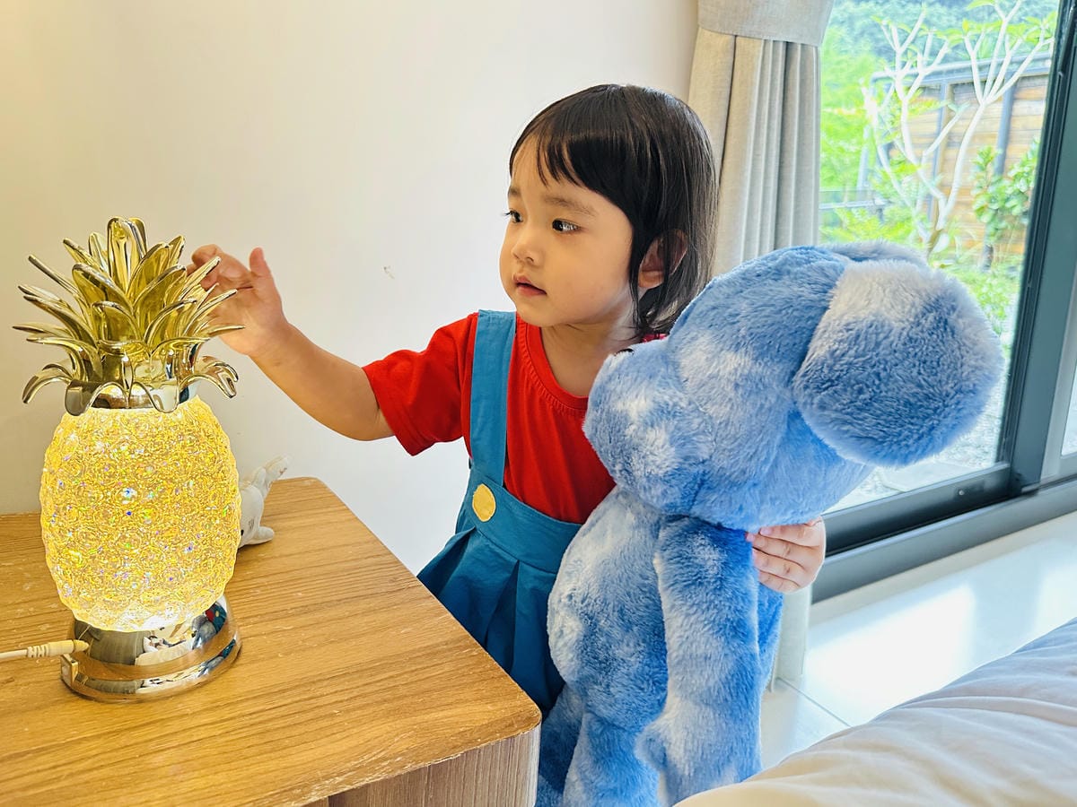 【鳳梨屋水上莊園】宜蘭員山超人氣親子景點!一泊三食住進落羽松