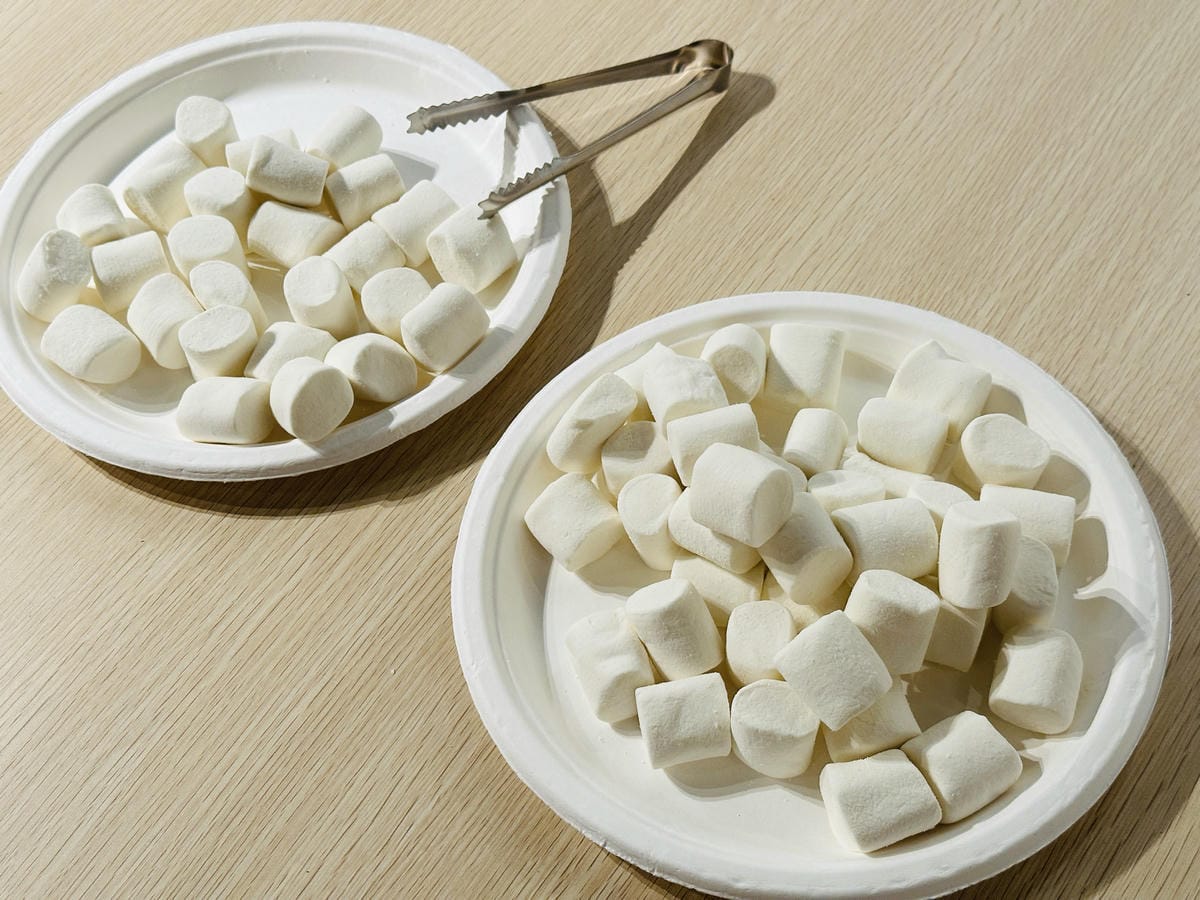 【鳳梨屋水上莊園】宜蘭員山超人氣親子景點!一泊三食住進落羽松