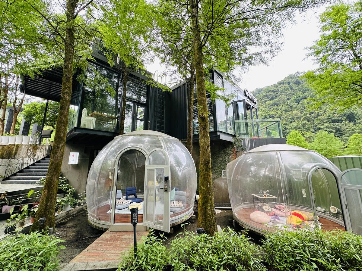 【鳳梨屋水上莊園】宜蘭員山超人氣親子景點!一泊三食住進落羽松