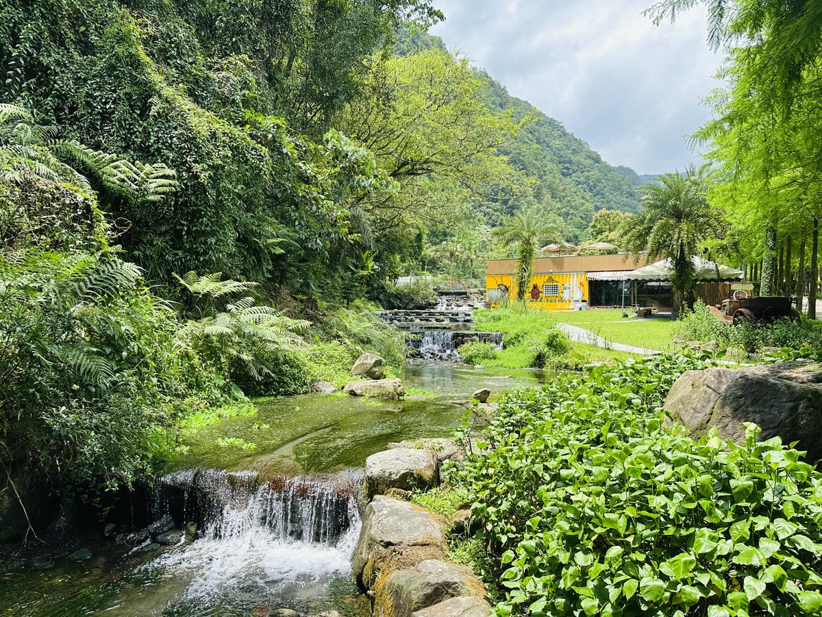 【鳳梨屋水上莊園】宜蘭員山超人氣親子景點!一泊三食住進落羽松