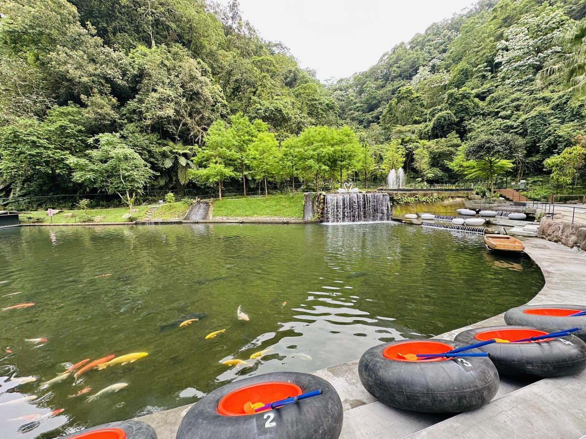 【鳳梨屋水上莊園】宜蘭員山超人氣親子景點!一泊三食住進落羽松