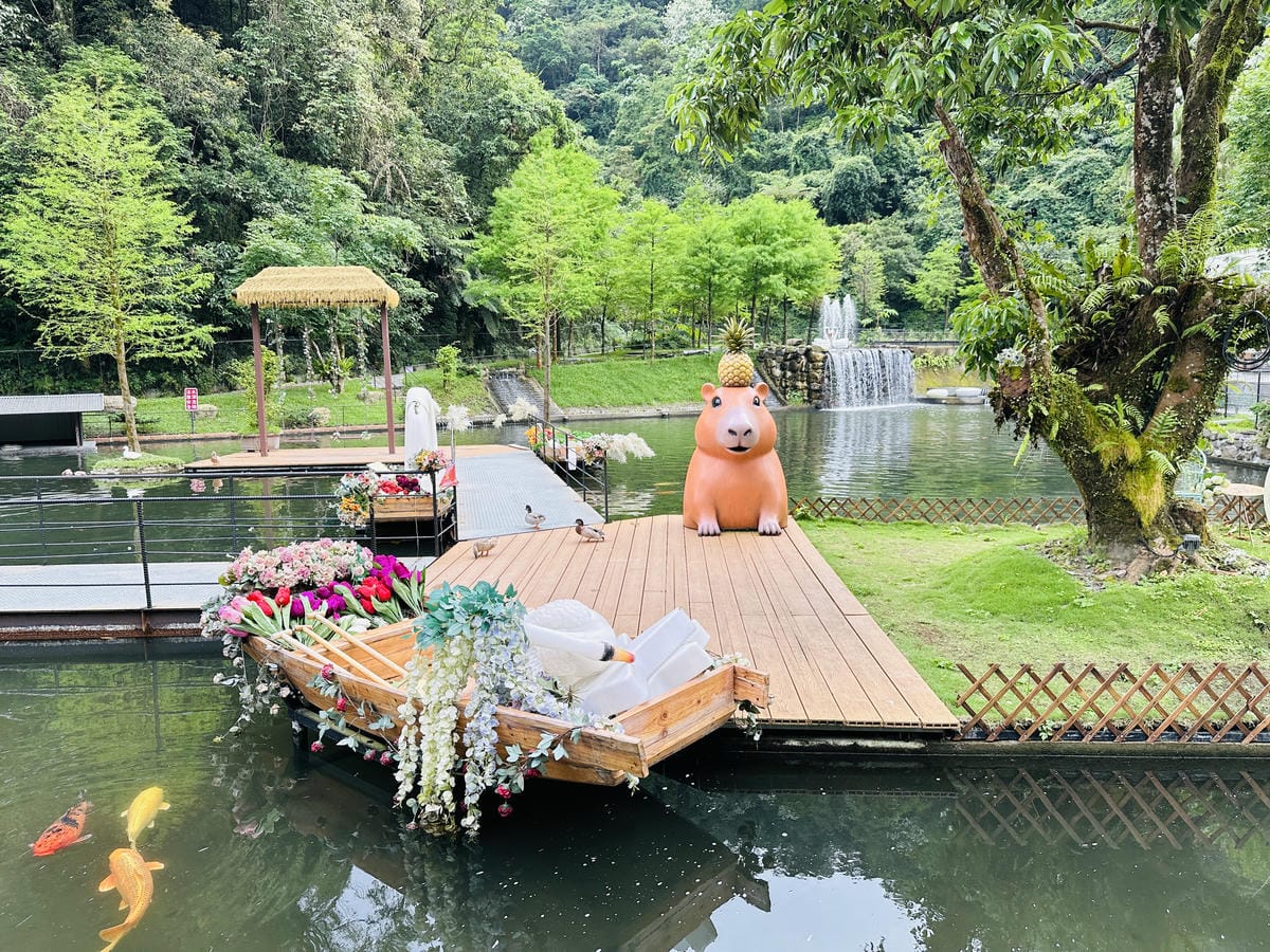 【鳳梨屋水上莊園】宜蘭員山超人氣親子景點!一泊三食住進落羽松