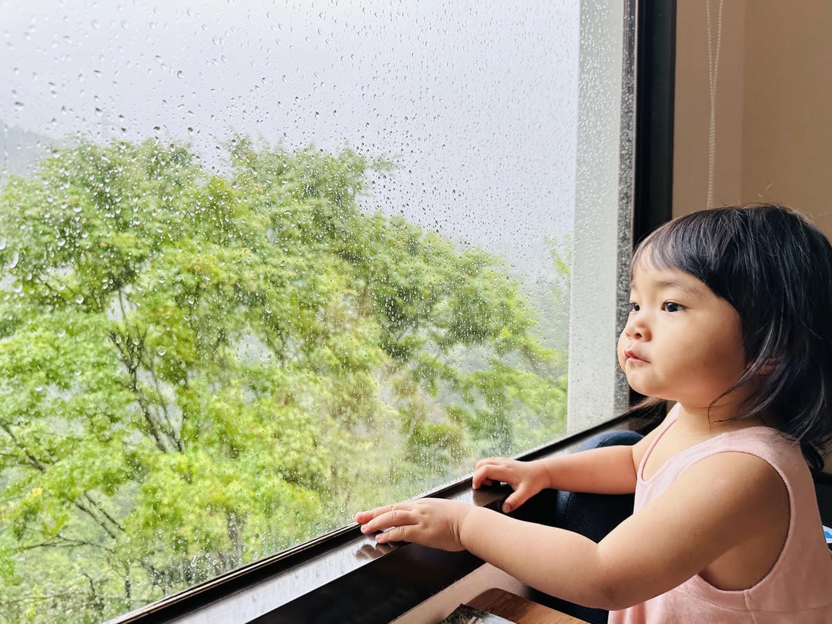 【山行寄野山行玫瑰】苗栗南庄山林秘境民宿與景觀咖啡廳,靜謐