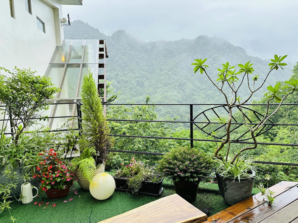 【山行寄野山行玫瑰】苗栗南庄山林秘境民宿與景觀咖啡廳,靜謐