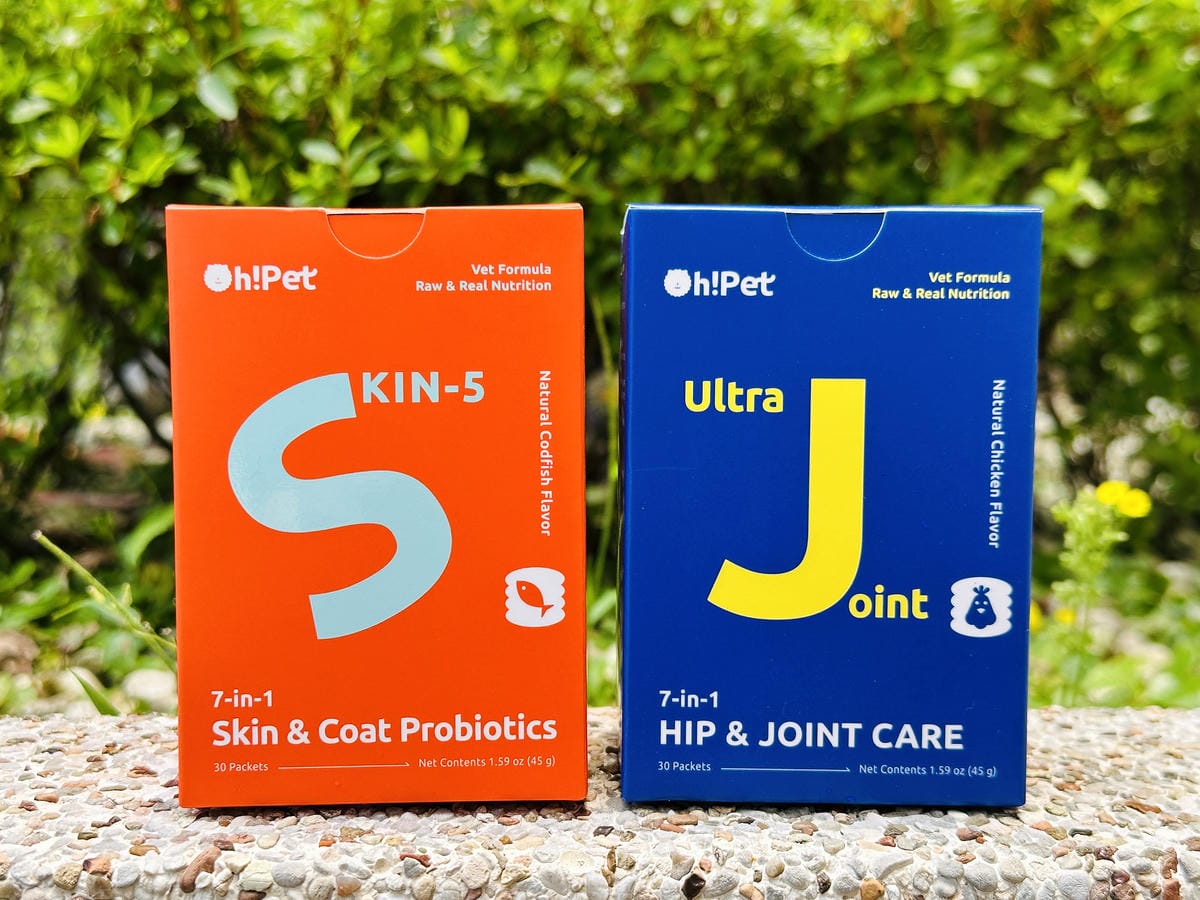 【Oh!Pet】狗狗益生菌+關節保健實測小臘腸咪咪日常補