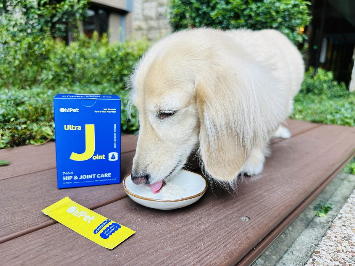 【Oh!Pet】狗狗益生菌+關節保健實測小臘腸咪咪日常補