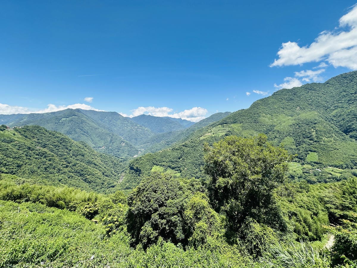 2025探索北橫必玩!「靜謐放鬆之旅-採果之旅」體驗分享水