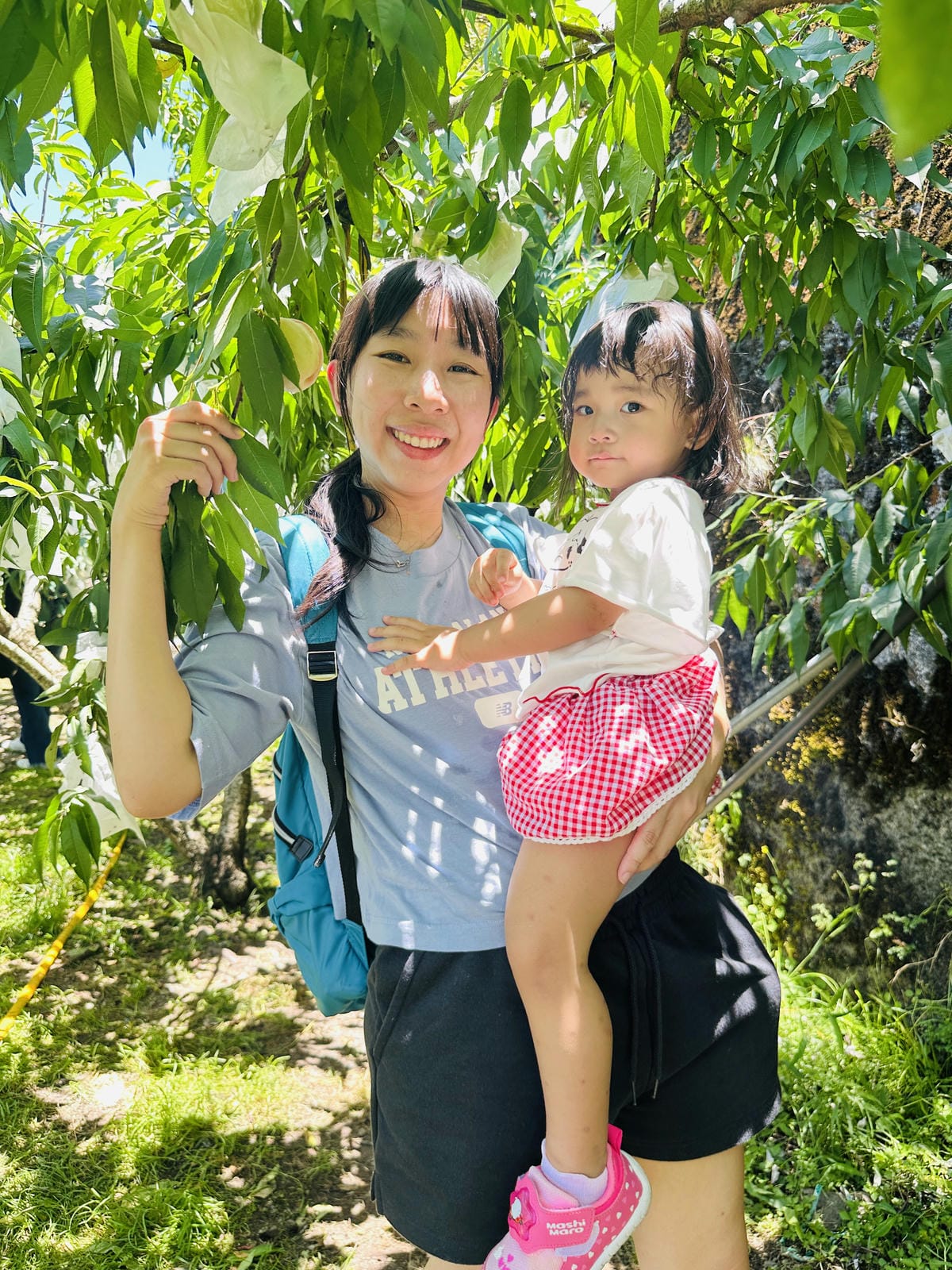 2025探索北橫必玩!「靜謐放鬆之旅-採果之旅」體驗分享水