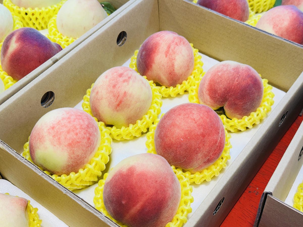 2025探索北橫必玩!「靜謐放鬆之旅-採果之旅」體驗分享水