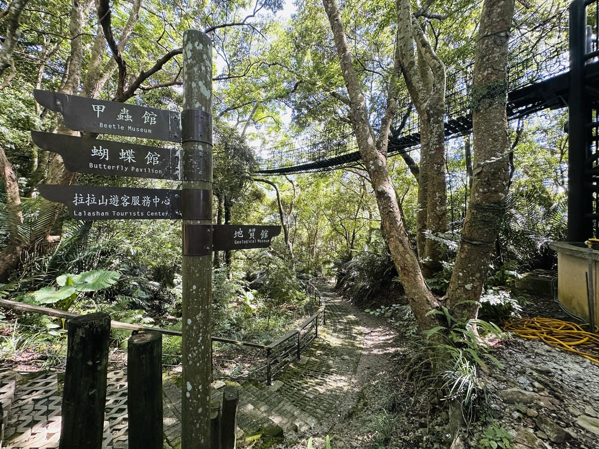 2025探索北橫必玩!「靜謐放鬆之旅-採果之旅」體驗分享水